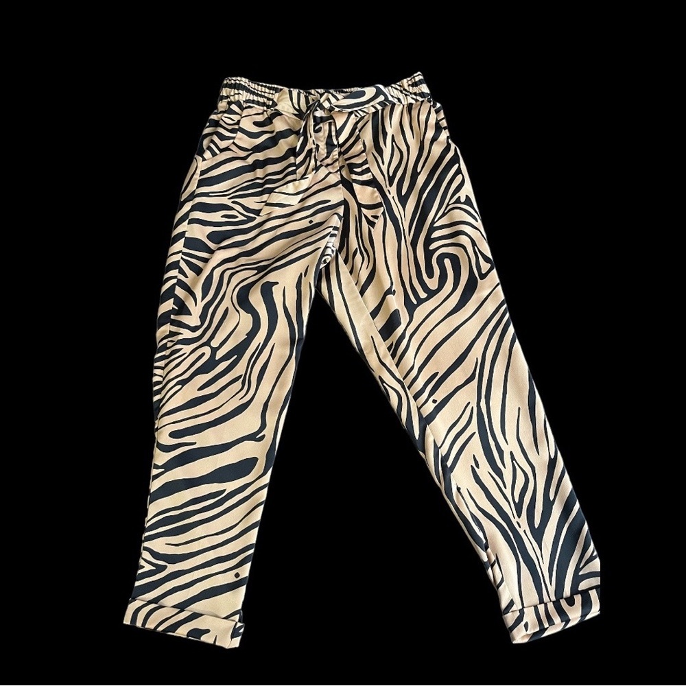 Silk Women’s Dress Pants